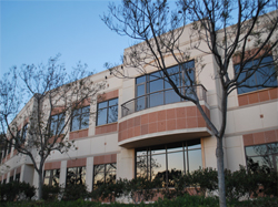 Company Building